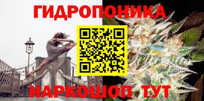 амф Кунгур